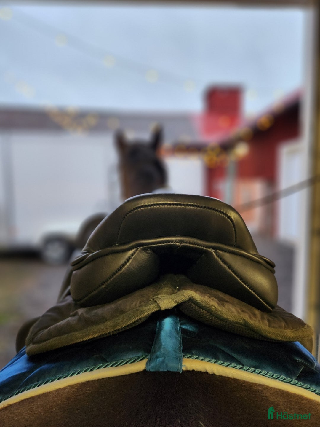 Sadlar hästutrustning till salu: Hopp/fälttävlanssadel med enkåpa i Borlänge - Annons 5