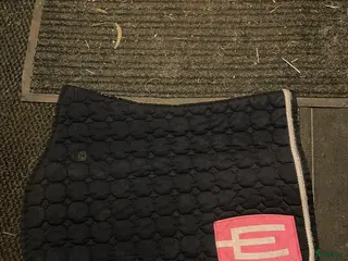 Schabrak & Vojlockar hästutrustning till salu: Equiline schabrak SÅLT - Annons 3