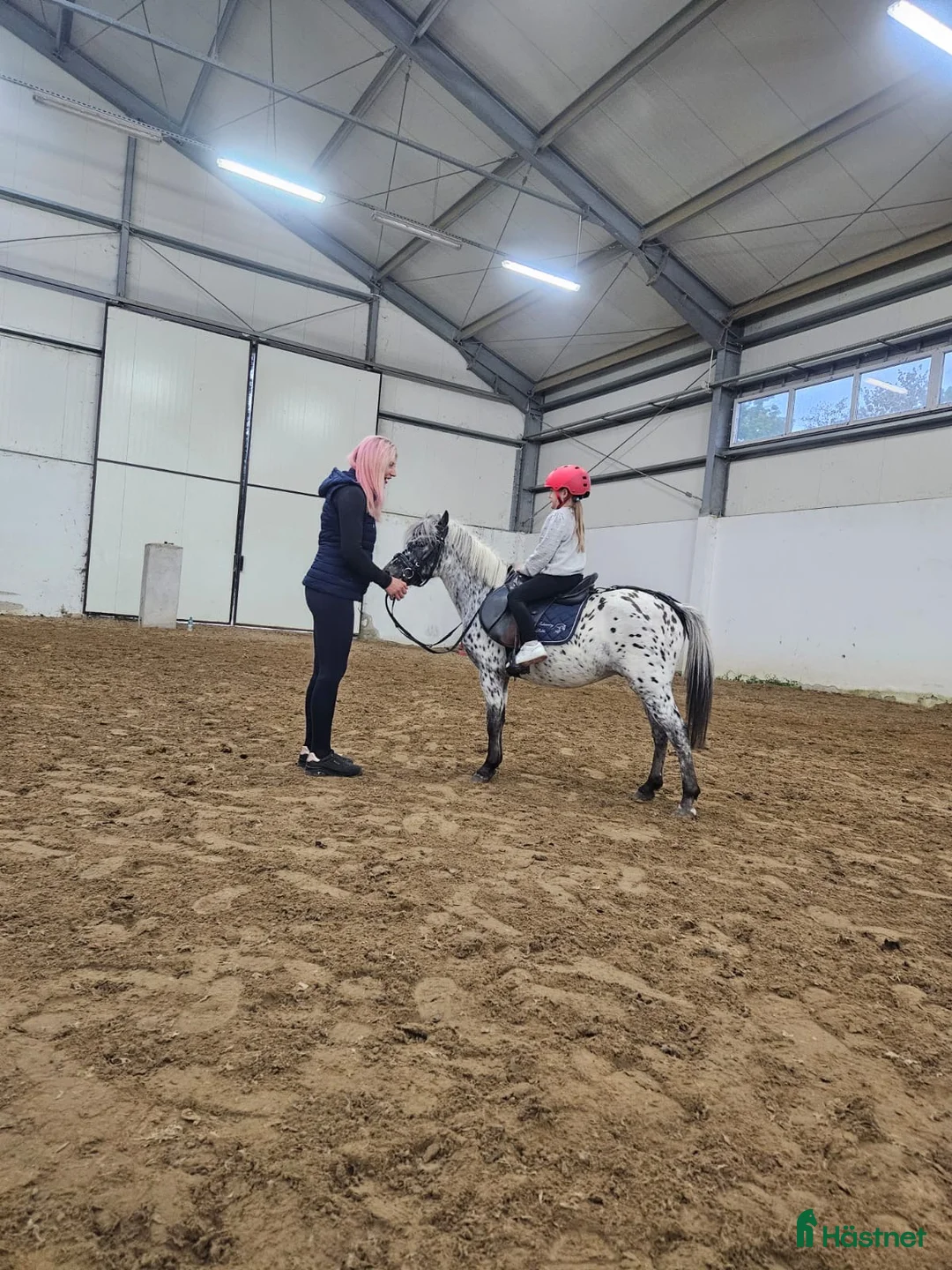 Hoppning hästar till salu: Jumping pony with special color i Ystad - Annons 7