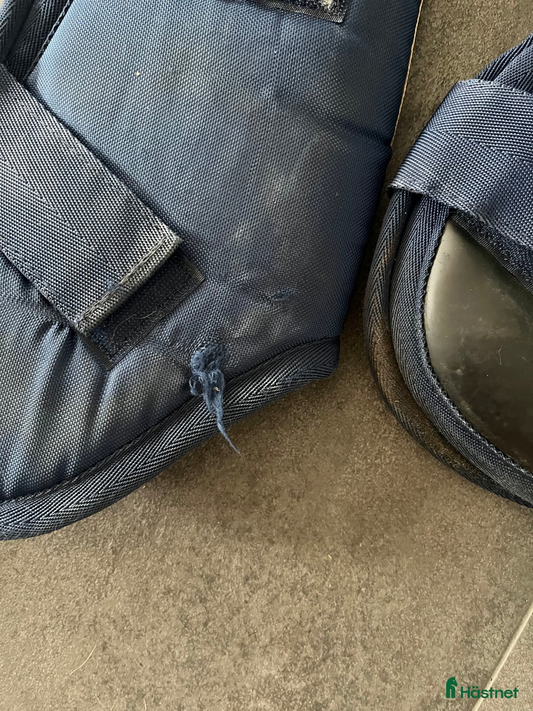 Benskydd hästutrustning till salu: Transportskydd strl F i Växjö - Annons 4