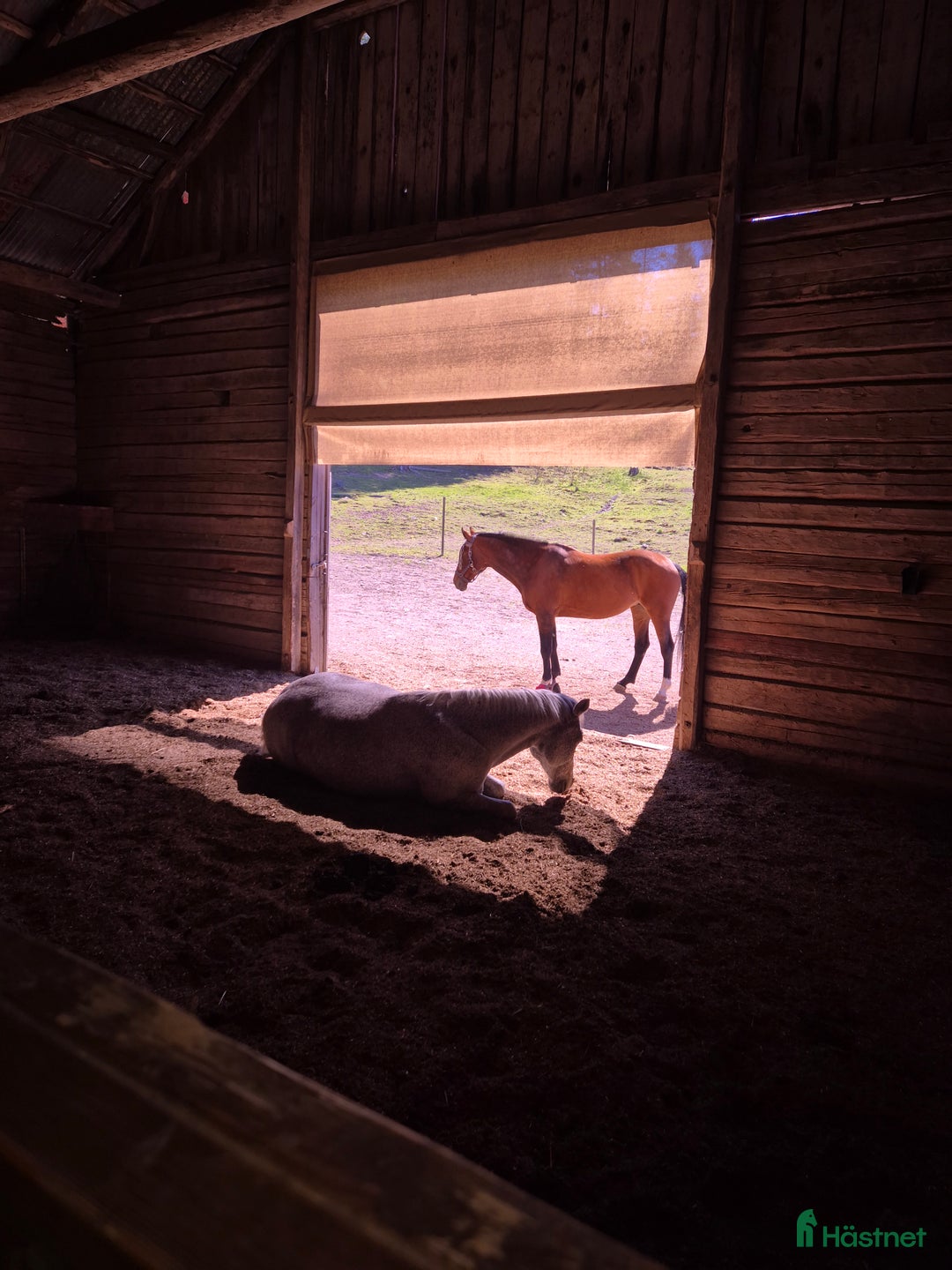  stallplats finnes: Lediga platser på Ytterstene Gård i Vagnhärad i Vagnhärad - Annons 3