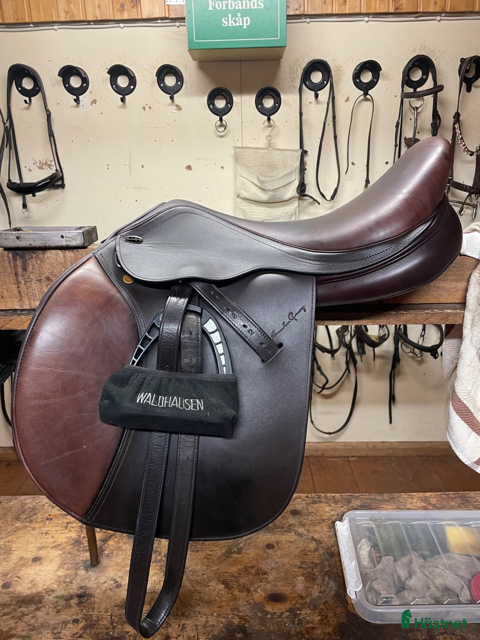 Sadlar hästutrustning Santa Cruz Celine - Annons 9