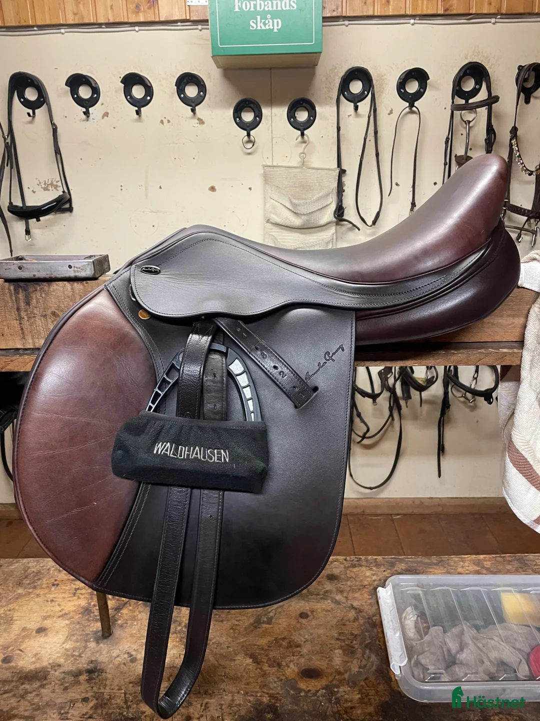 Sadlar hästutrustning till salu: Santa Cruz Celine - Annons 1