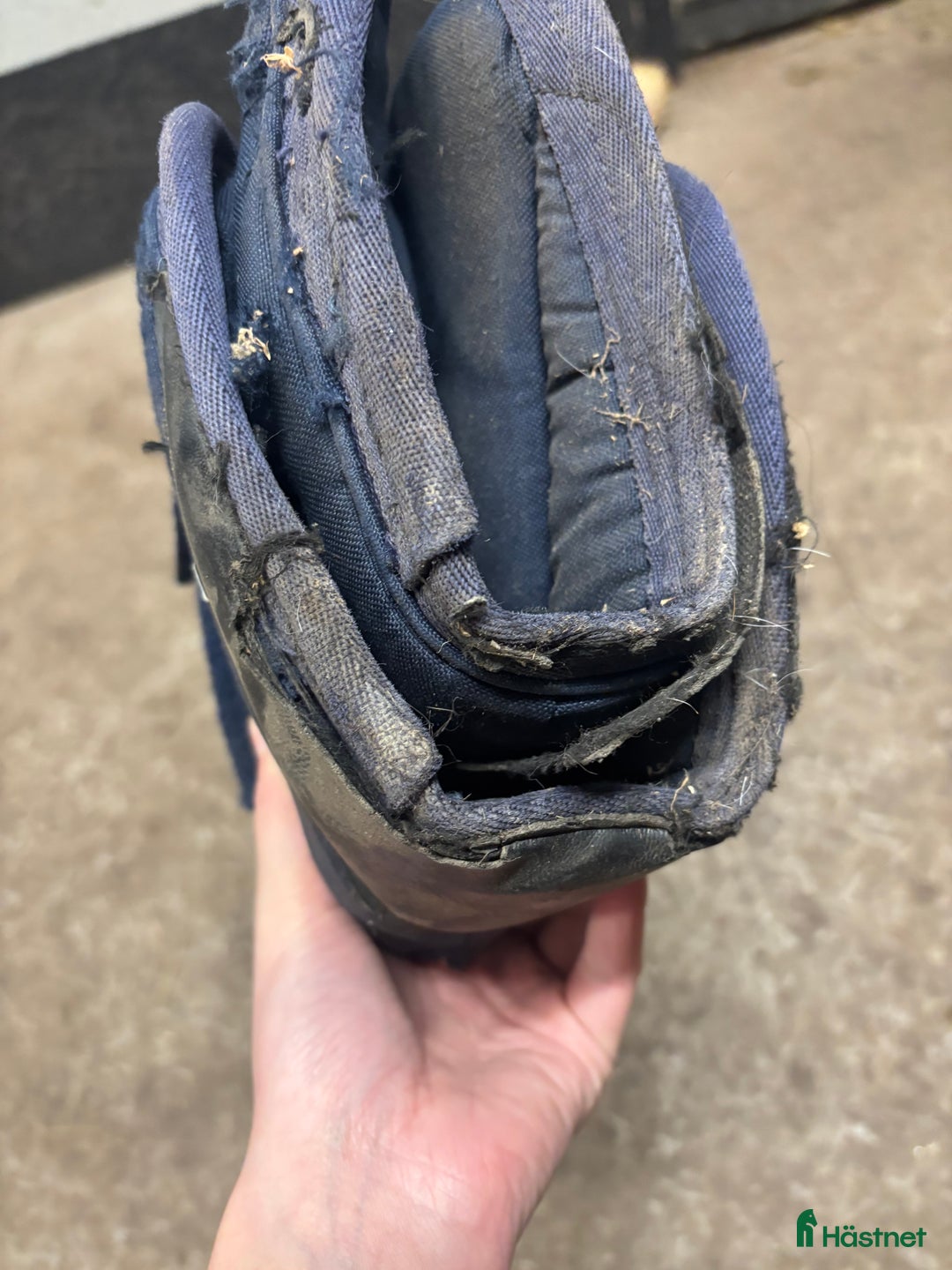 Benskydd hästutrustning till salu: Kingsland transportskydd  i Vinninga - Annons 14