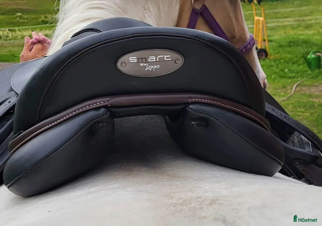 Sadlar hästutrustning till salu: Fin sadel Smart by Lippo 17" - Annons 2