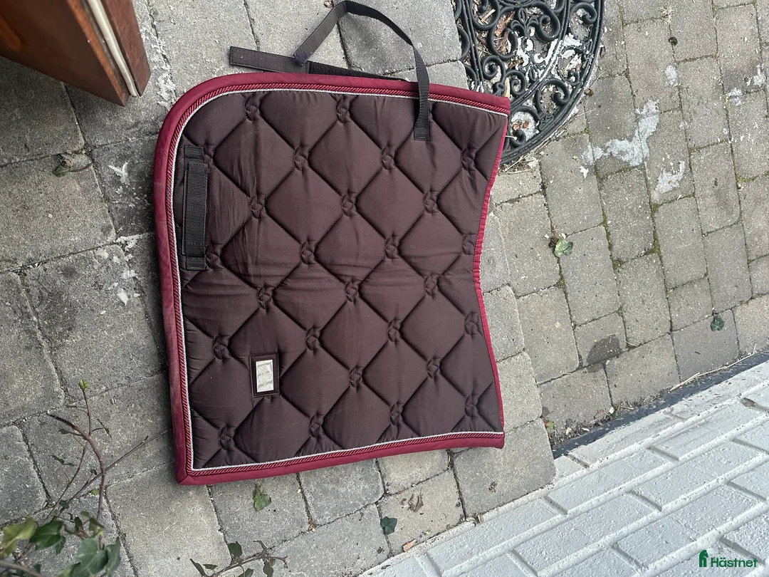 Schabrak & Vojlockar hästutrustning till salu: Fint es-shabrak - Annons 1