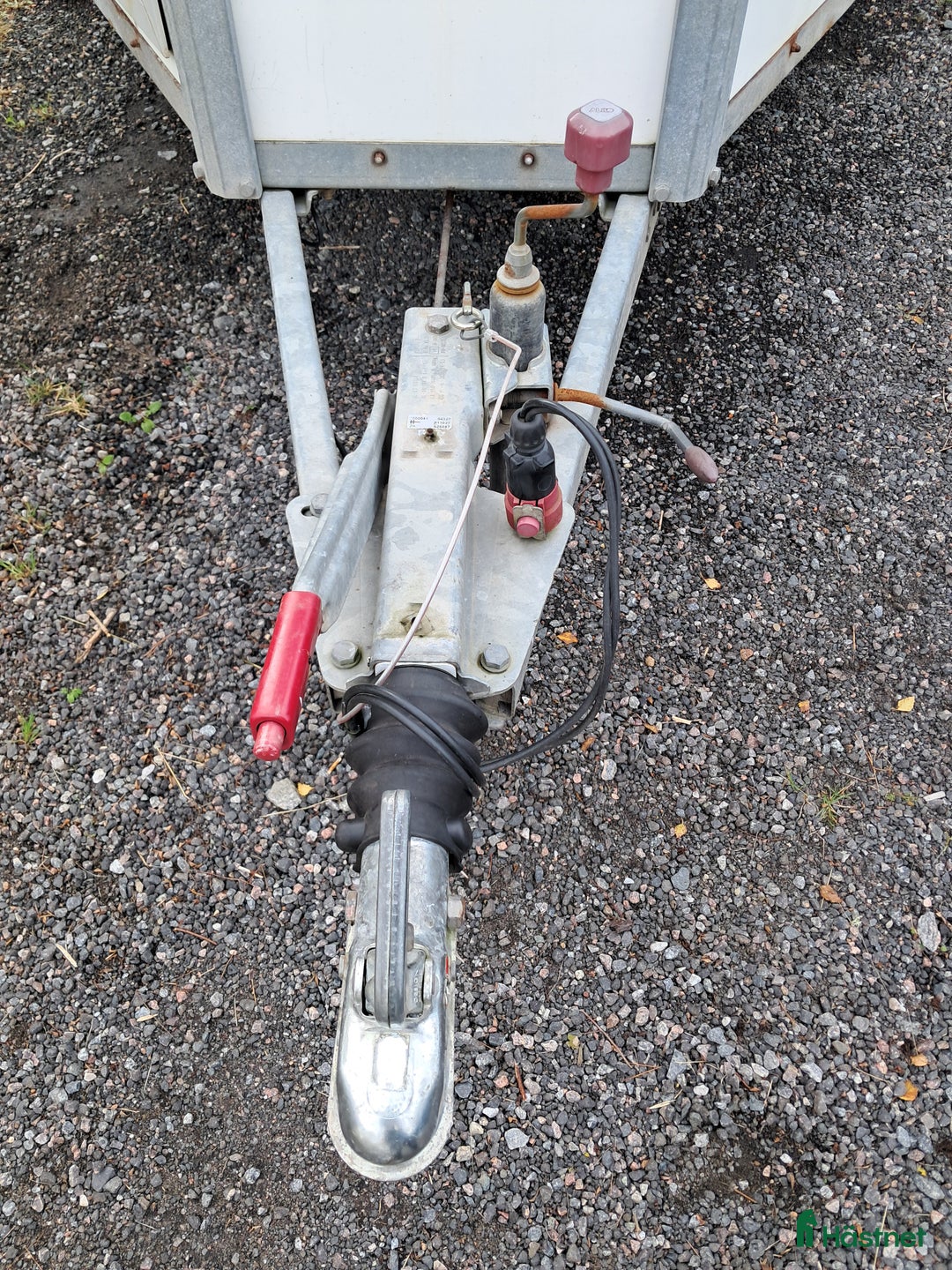 Hästtransporter  fordon & transport till salu: Perfekt budgettransport! i Bollebygd - Annons 7