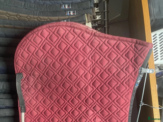 Schabrak & Vojlockar hästutrustning till salu: Equiline schabrak säljes i Västerås - Annons 8