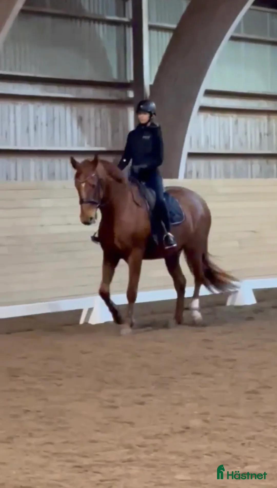 Galleribild {{count}}