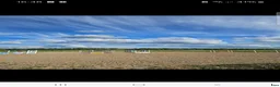  stallplats finnes: Fullservice stall - Annons 5