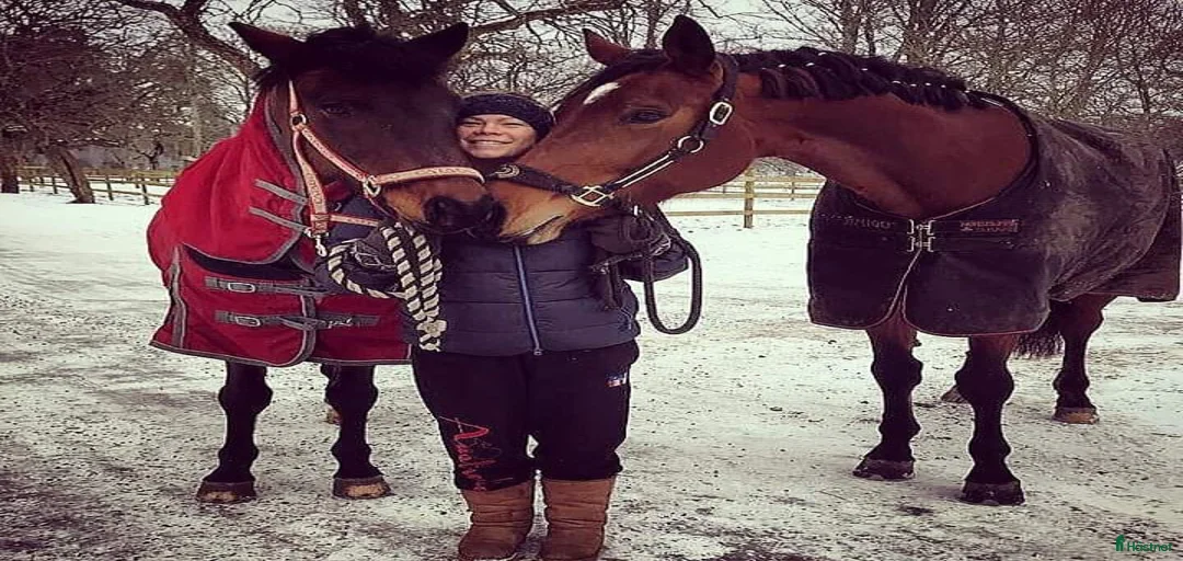 Galleribild {{count}}