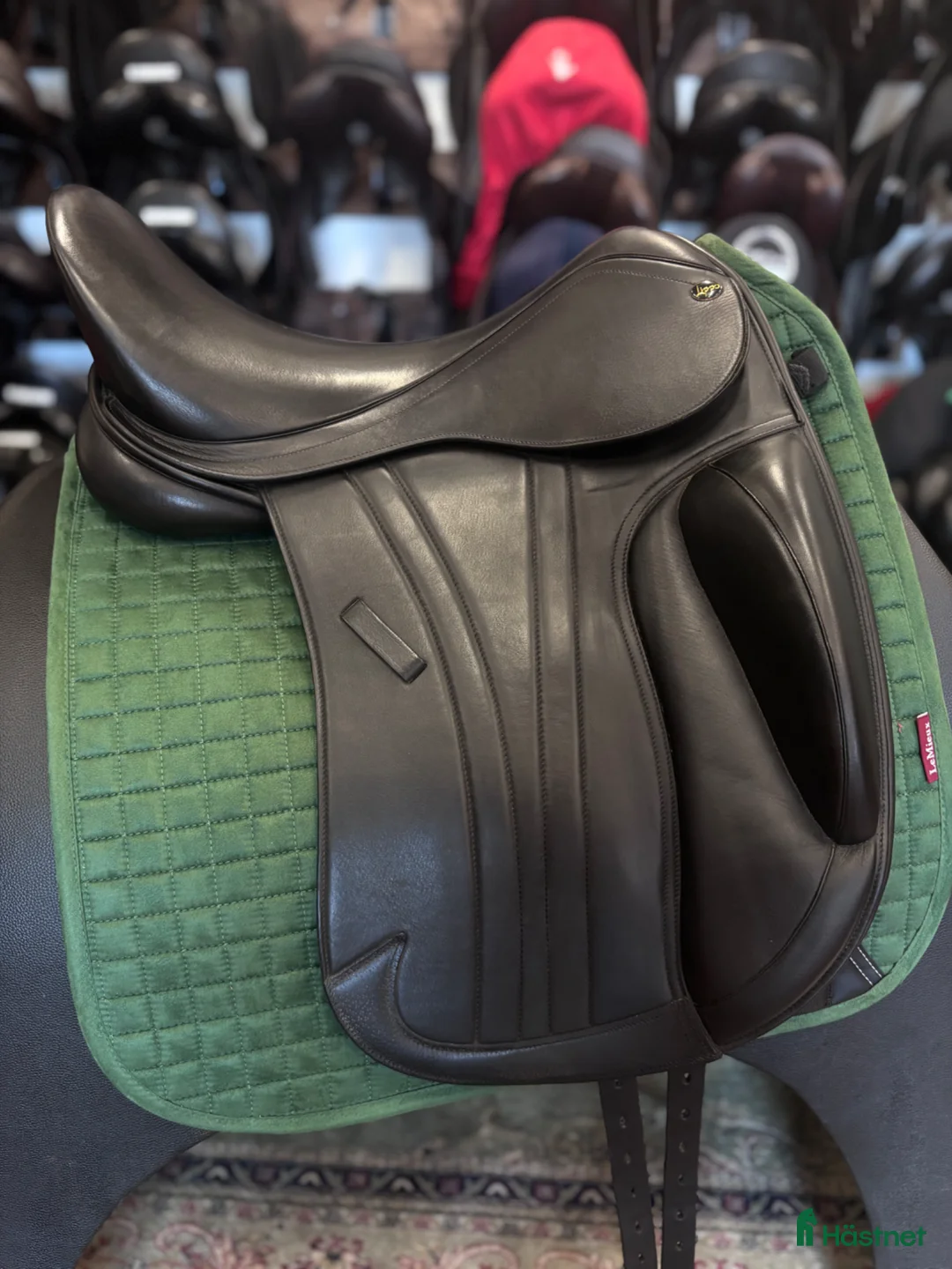 Sadlar hästutrustning till salu: Lippo Aurora ☀️ - Annons 2