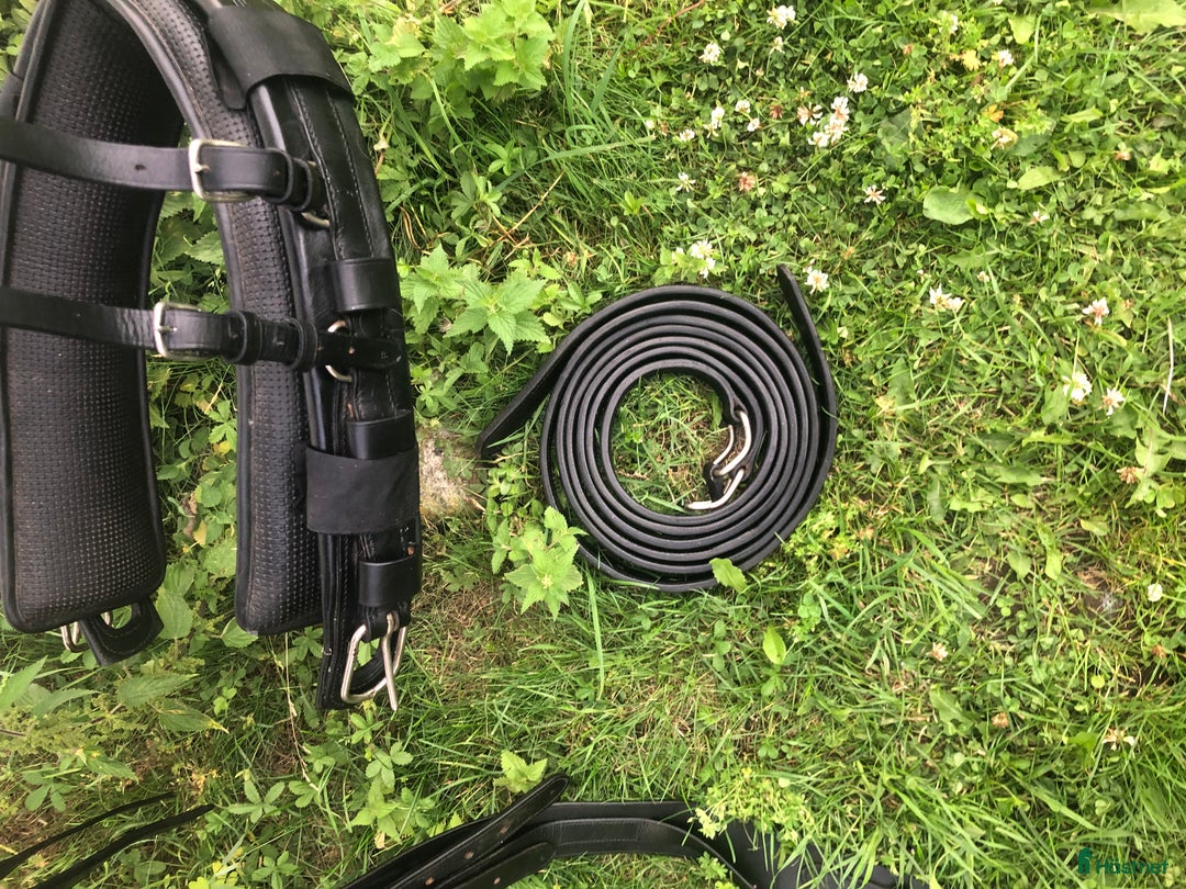 Körselar körning till salu: Fin Giggsele / Bröstsele i strl Full i Vallentuna - Annons 5