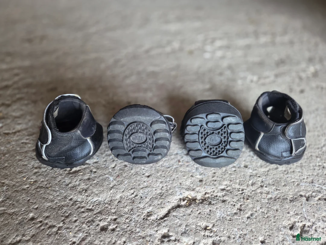 Övrig Hästutrustning hästutrustning till salu: Cavallo Jogging boots stl 10 regular i Örsundsbro - Annons 3