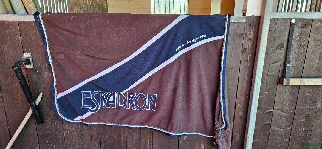 Övrig Hästutrustning hästutrustning till salu: Massa ponny saker i Vingåker - Annons 13