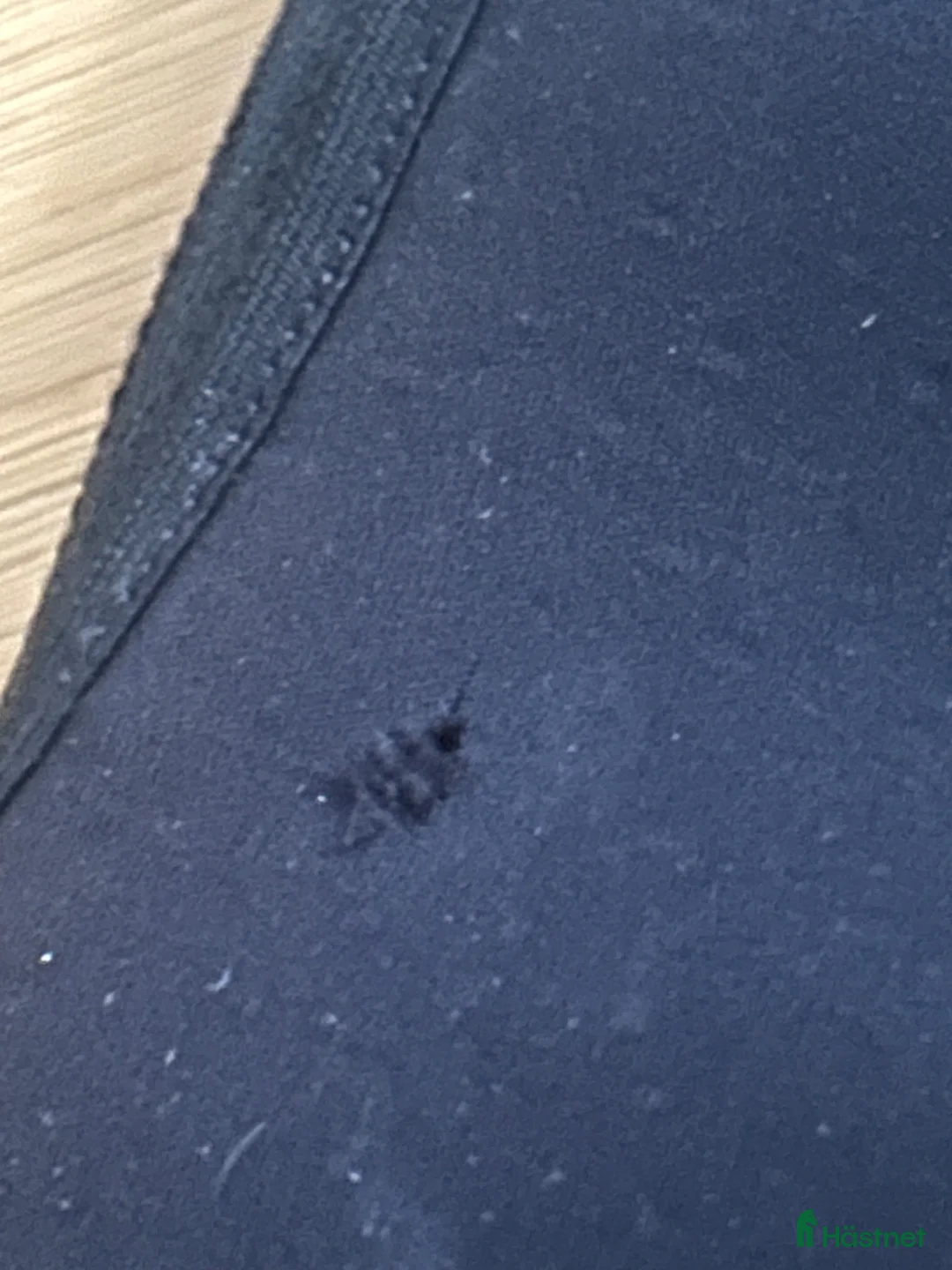 Benskydd hästutrustning till salu: Fairfield damasker XS – 50 kr - Annons 2