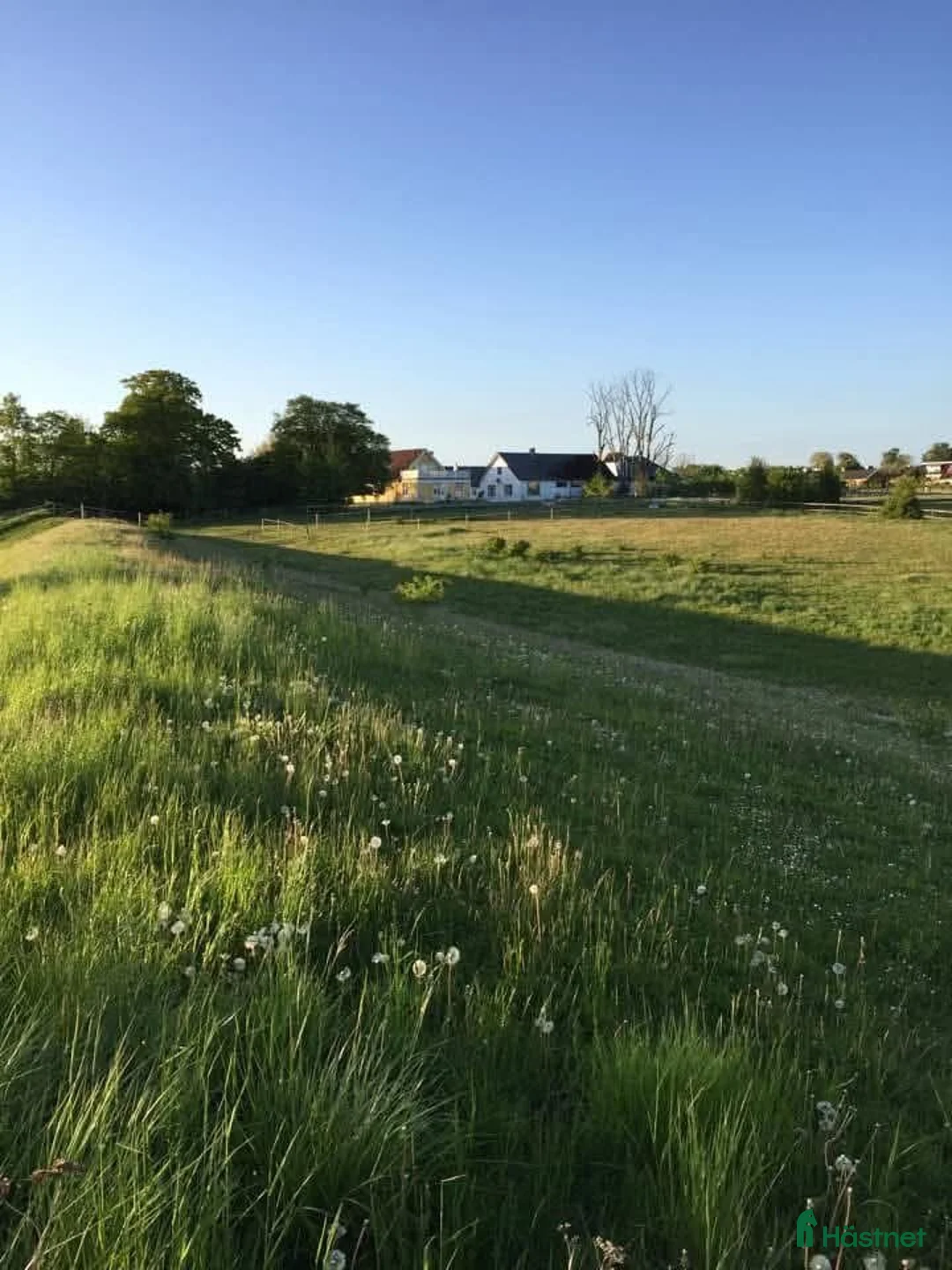  stallplats finnes: Ledig boxplats på Annehem i Lund - Annons 2