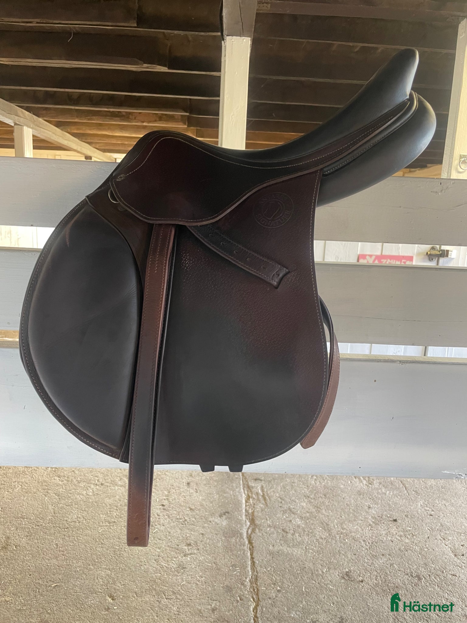 Sadlar hästutrustning Antares *nytt pris* - Annons 14