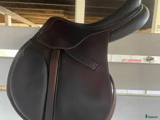 Sadlar hästutrustning Antares *nytt pris* - Annons 14