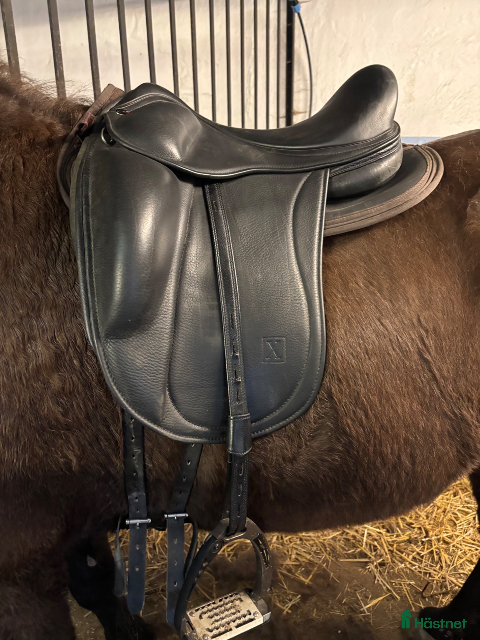 Sadlar hästutrustning Eques X - Annons 13