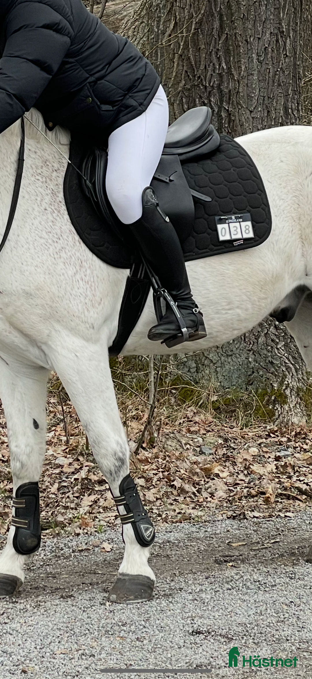 Schabrak & Vojlockar hästutrustning till salu: Equiline schabrak i Stockholm - Annons 2