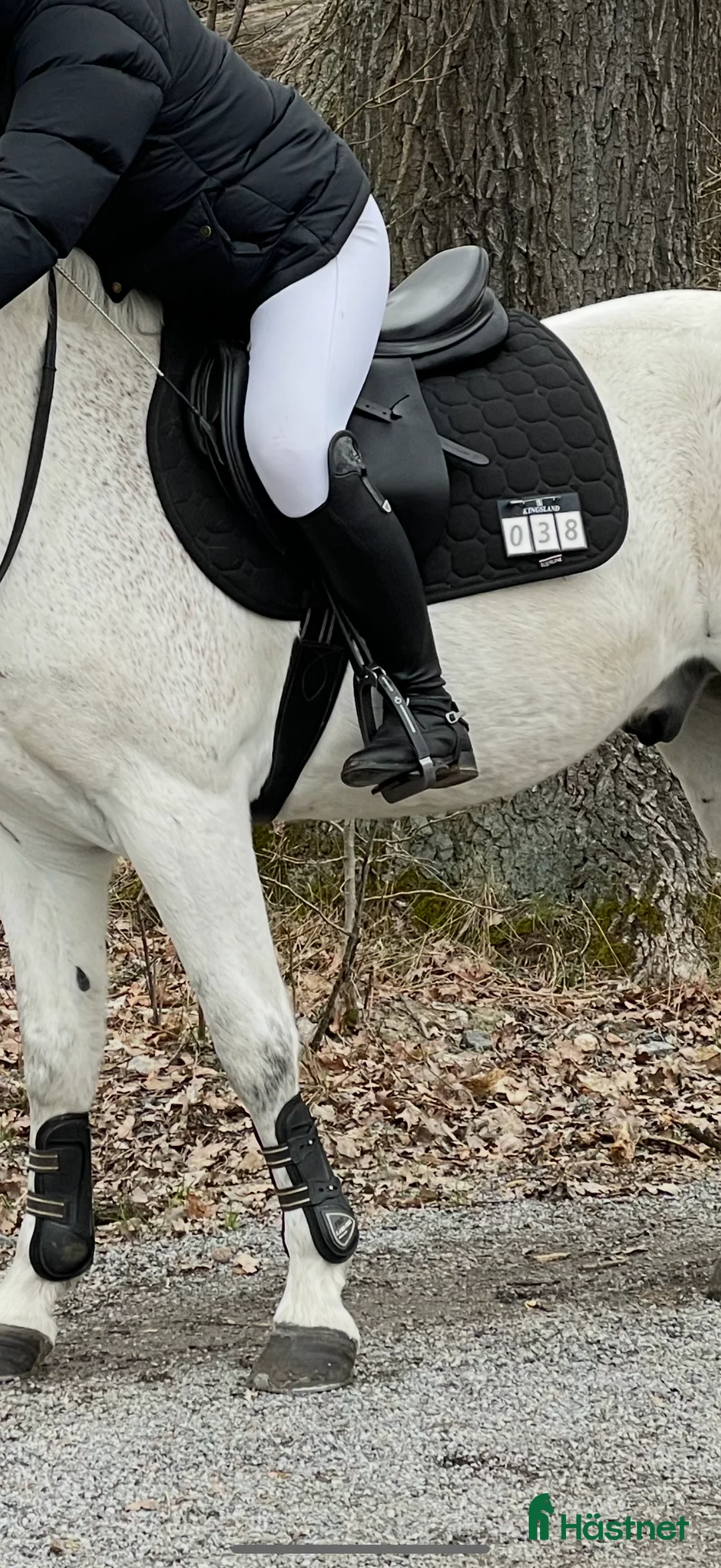 Schabrak & Vojlockar hästutrustning till salu: Equiline schabrak i Stockholm - Annons 2