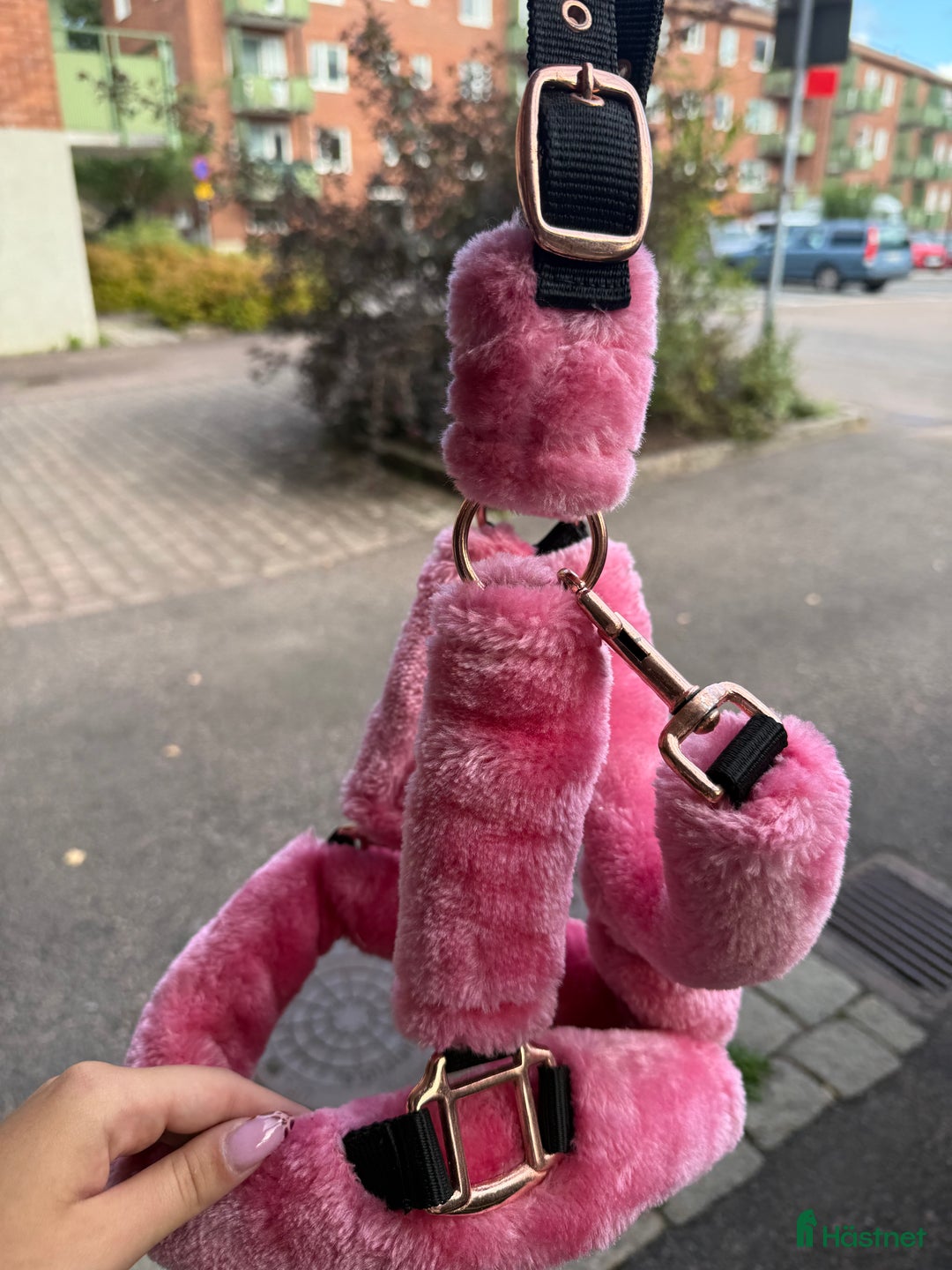 Övrig Hästutrustning hästutrustning till salu: Rosa päls grimma i Borås - Annons 2
