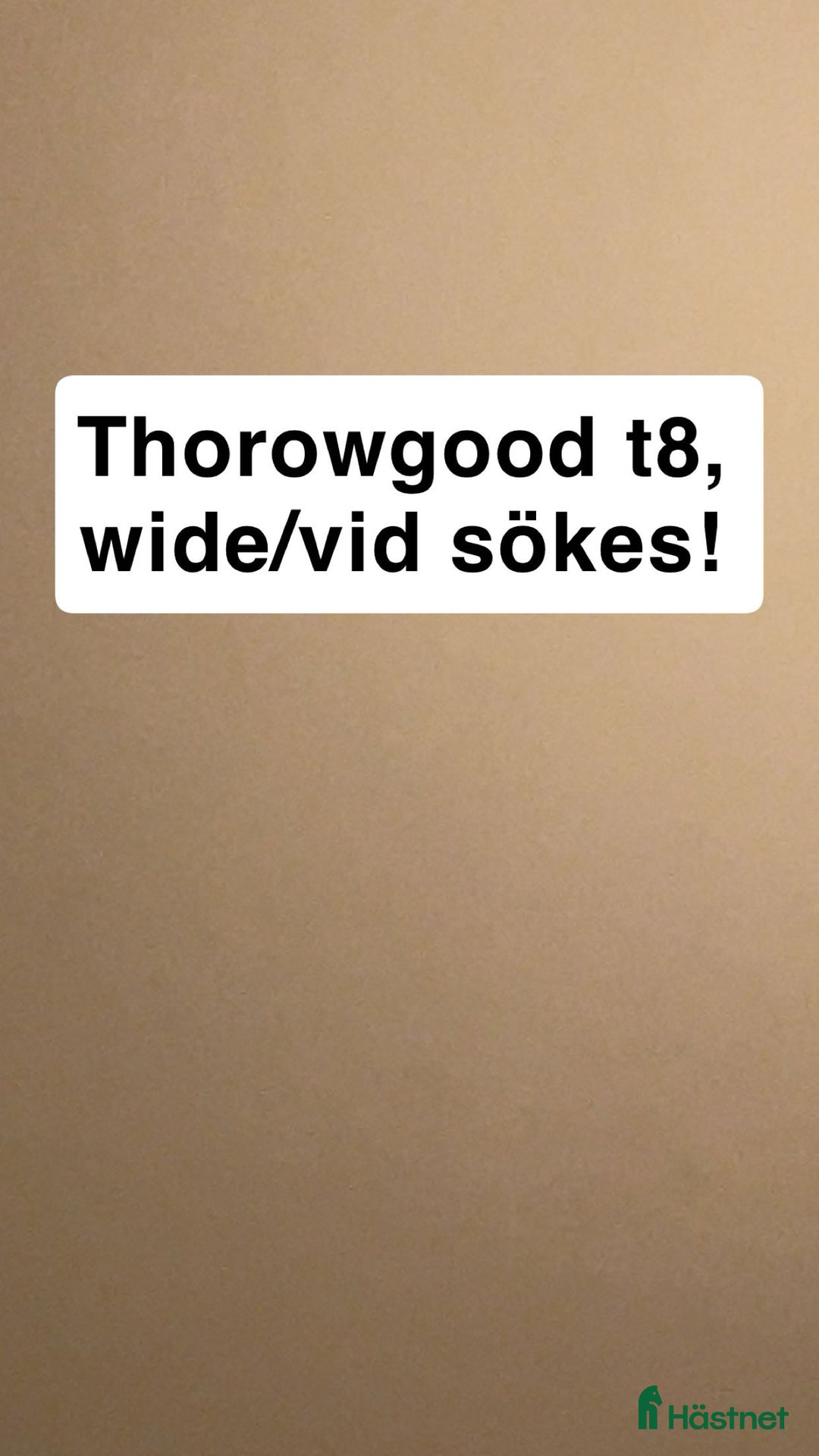 Sadlar hästutrustning till salu: ( har en Thorowgood T9 som jag kan byta mot) i Lycke - Annons 1