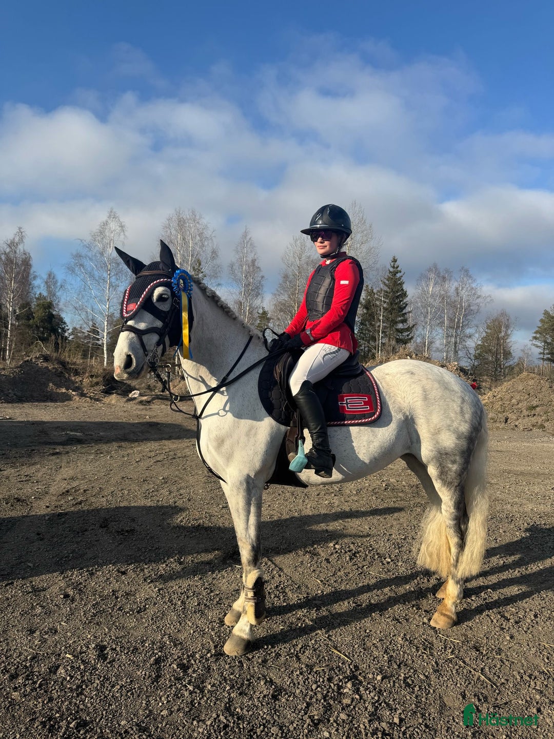 Hoppning hästar till salu: Maxat d-ponny sto med kapacitet - Annons 2