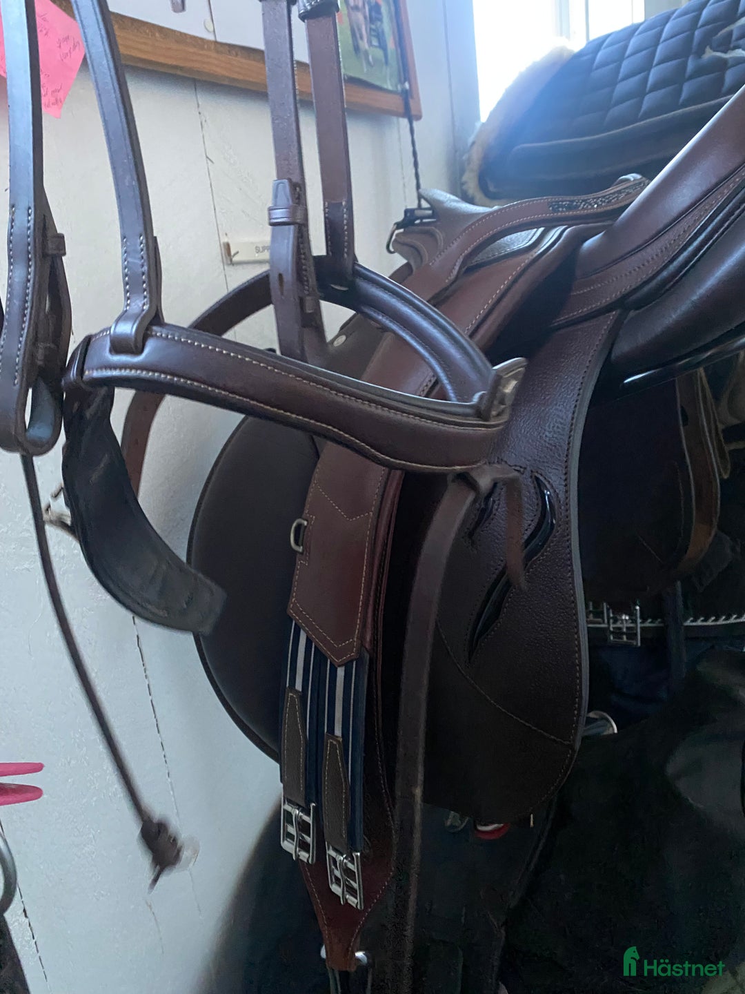 Träns hästutrustning till salu: Antarés nackstycke + nosgrimma  - Annons 6