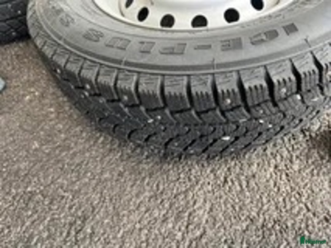 Hästtransporter  fordon & transport till salu: Forzab Light  i Klippan - Annons 8