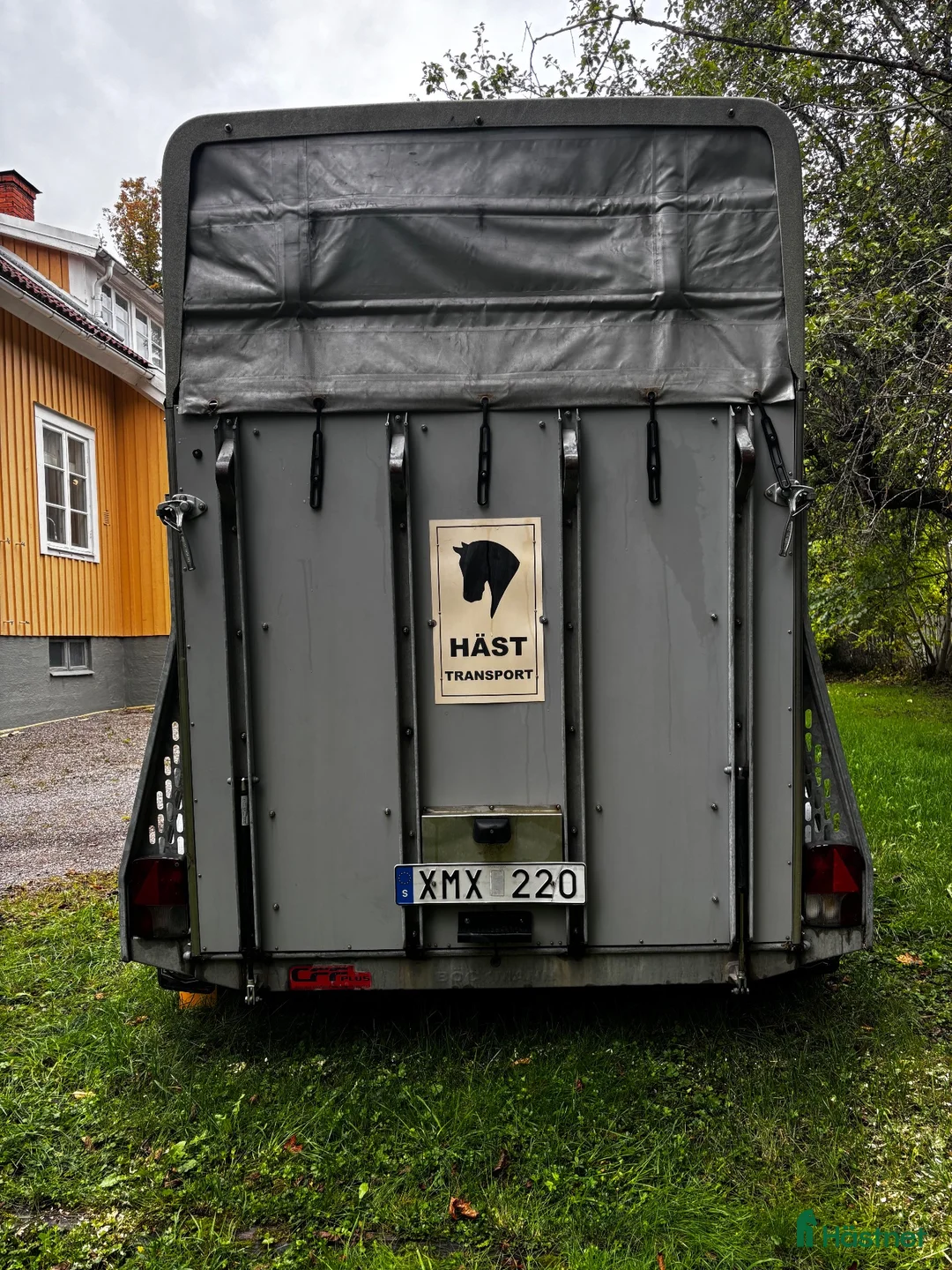 Hästtransporter  fordon & transport till salu: Böckman Comfort totalvikt 1400 kg - Annons 2
