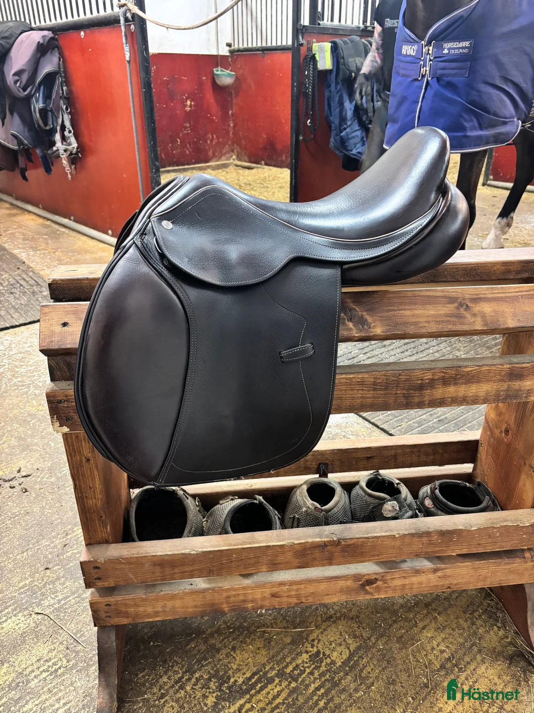 Sadlar hästutrustning till salu: Kemnevall jumping Harold i Umeå - Annons 1