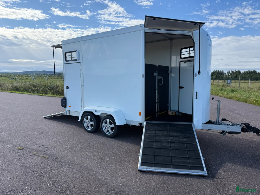 Hästtransporter  fordon & transport till salu: UME B50 -18 - Annons 1