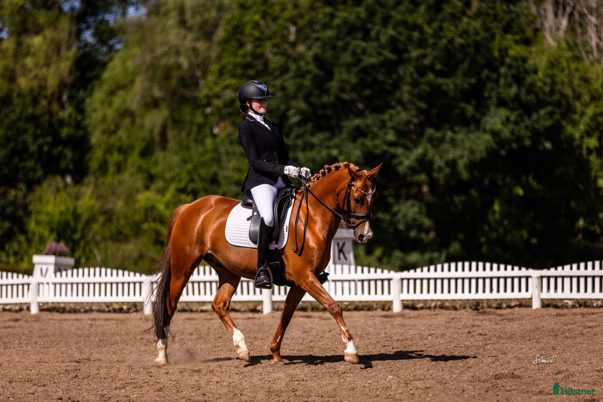  hästar FEI Dressurpony  - Annons 1