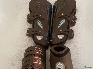 Benskydd hästutrustning Veredus benskydd - Annons 3