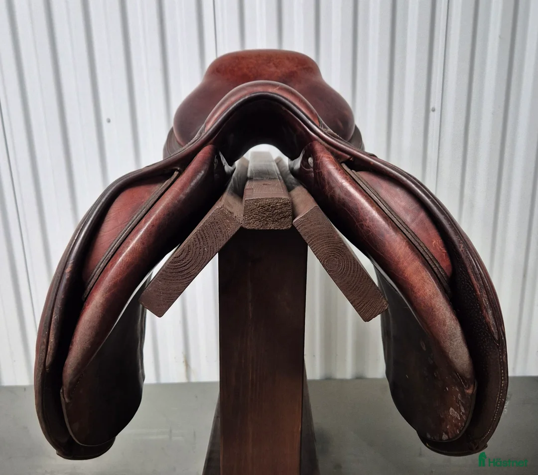 Sadlar hästutrustning till salu: CWD SE02 i Helsingborg - Annons 2