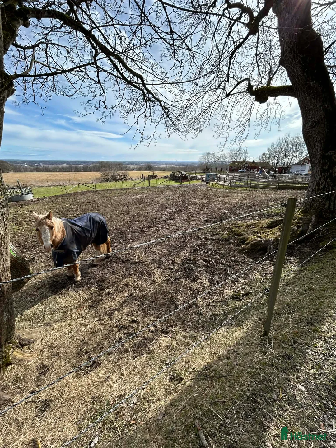  stallplats finnes: Stall plats på kinnekulle uthyres i Hällekis - Annons 1