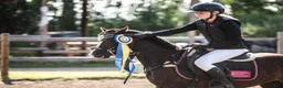 Allround hästar till salu: *RESERVERAD* Rosettplockare och bästa vän🥇 - Annons 4