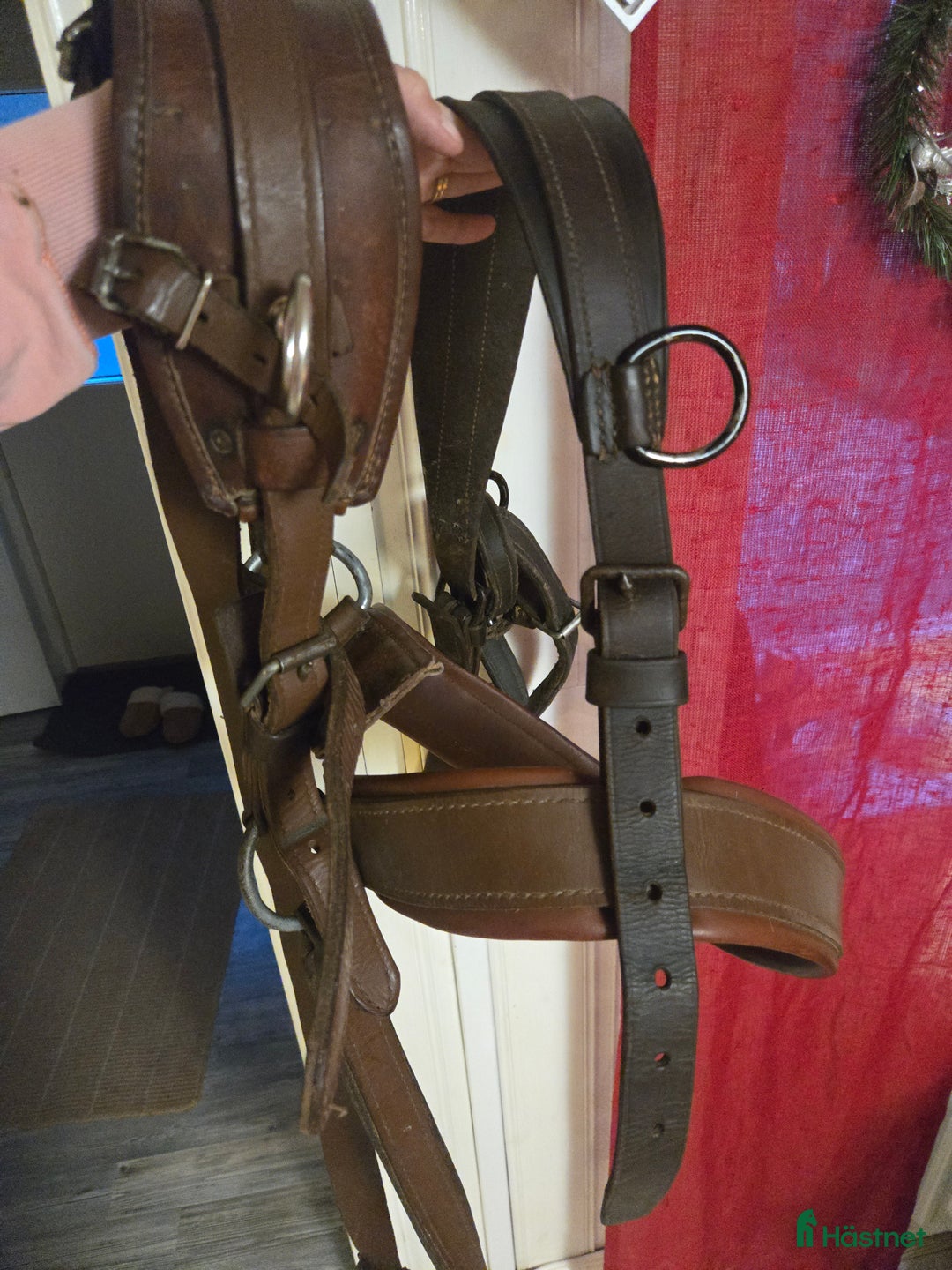 Travselar trav till salu: Finntack sele qh paketpris i Sala - Annons 3