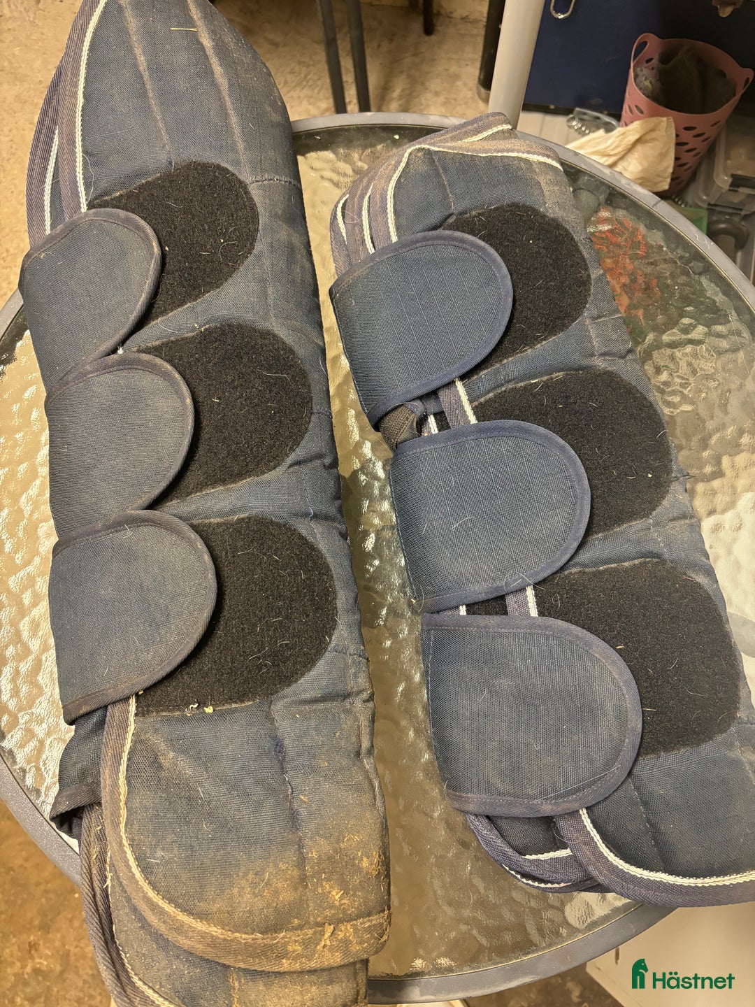 Benskydd hästutrustning till salu: Transportskydd  i Vinninga - Annons 1