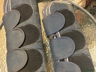 Benskydd hästutrustning till salu: Transportskydd i Vinninga - Annons 20