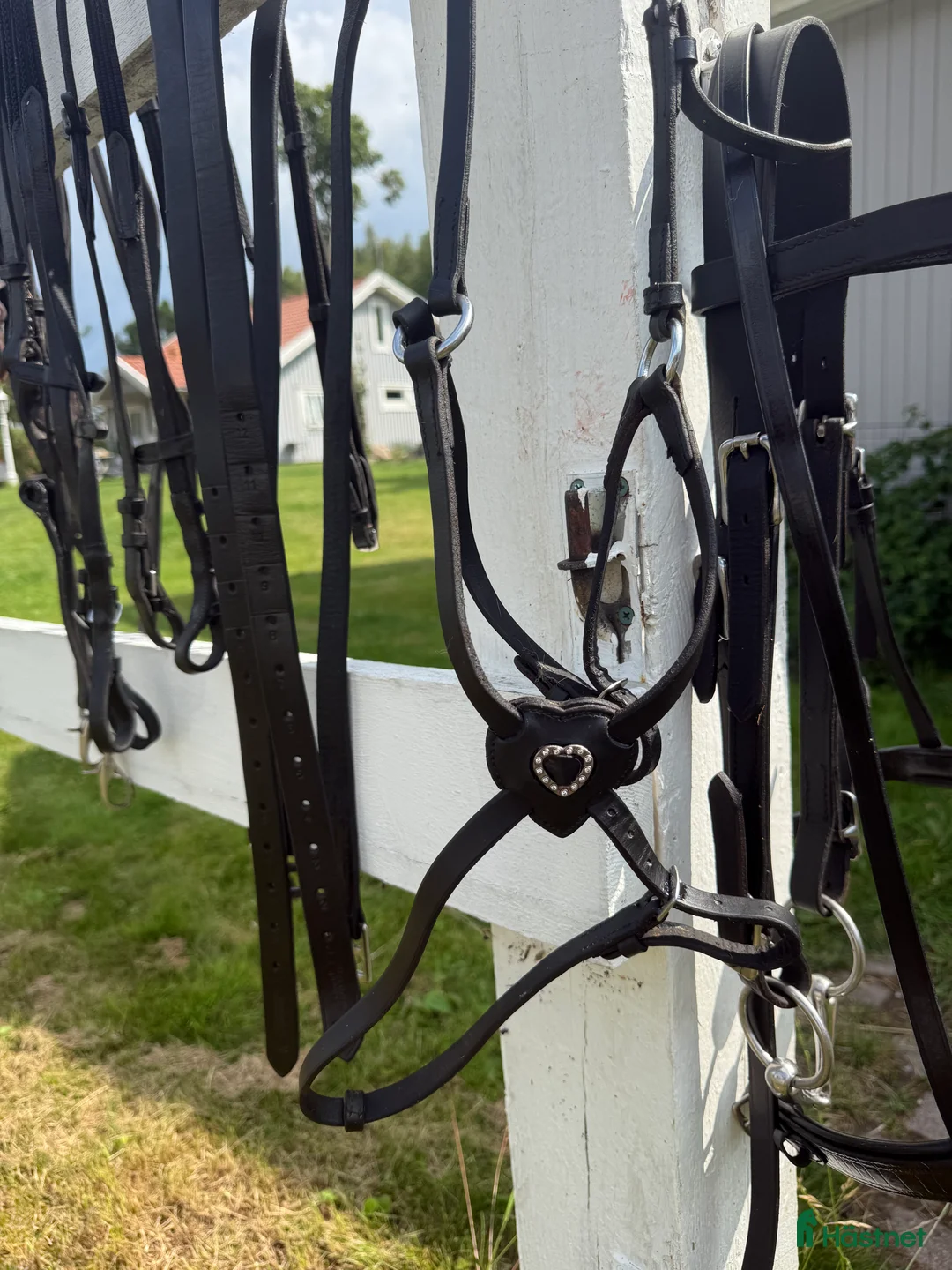 Övrig Hästutrustning hästutrustning till salu: Sadelkammarrensning  i Linköping - Annons 1