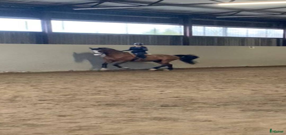 Galleribild {{count}}