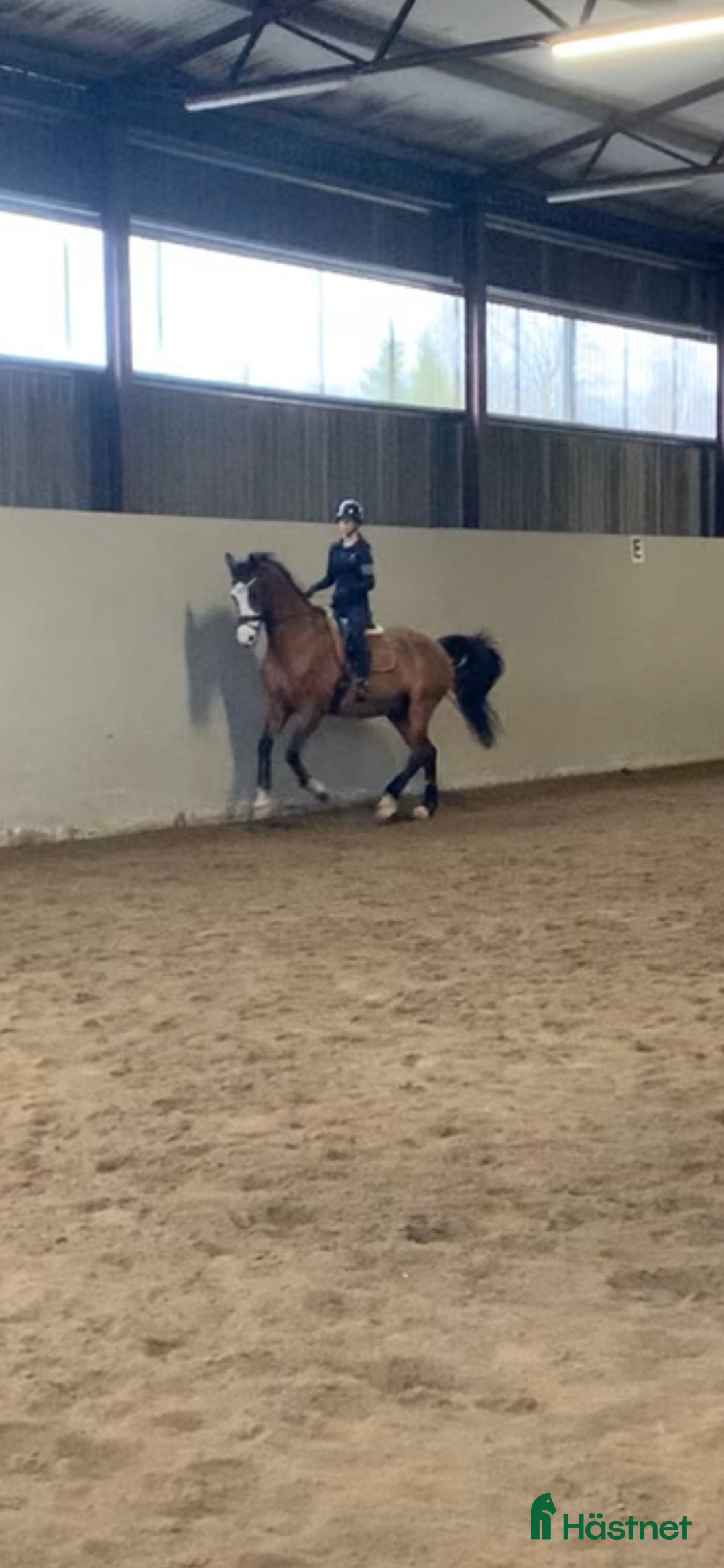 Galleribild {{count}}