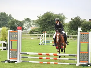 hästar Fantastisk hopponny - Annons 2