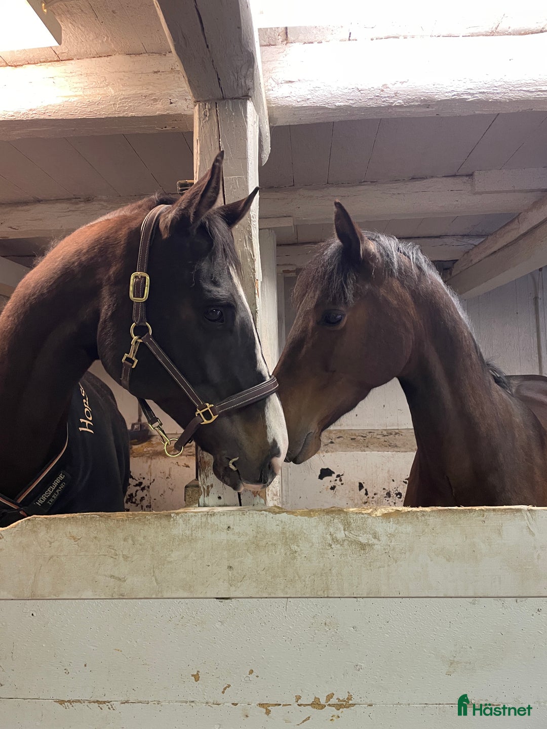  stallplats finnes: Stallplats  i Nyköping - Bild 5