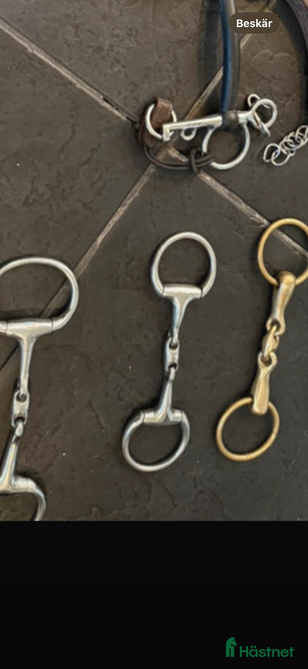 Bett hästutrustning till salu: Massa bett för bra pris  i Lerum - Annons 4