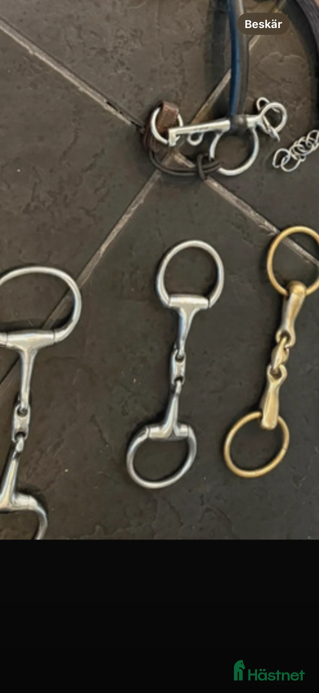 Bett hästutrustning till salu: Massa bett för bra pris  i Lerum - Annons 4