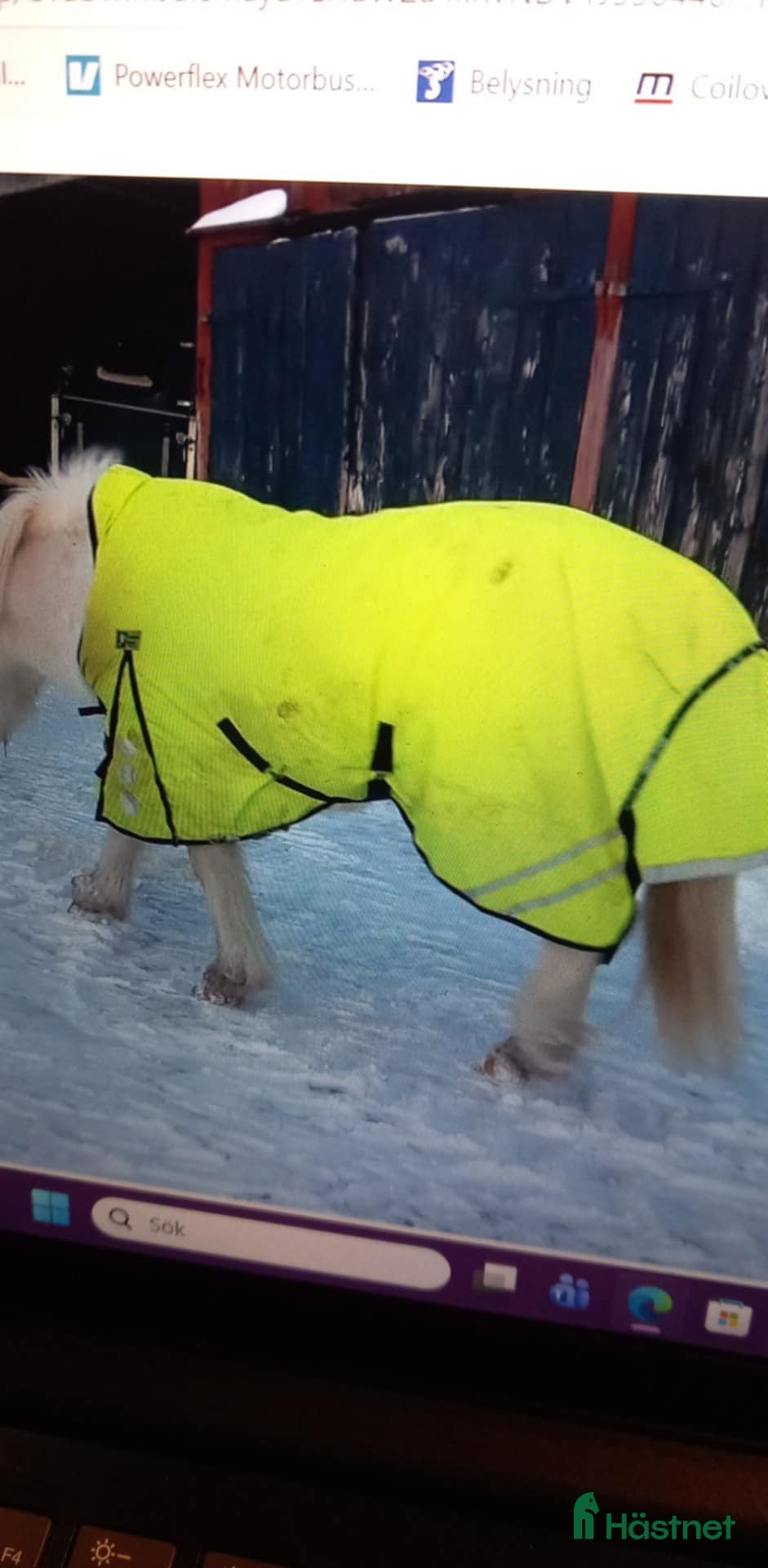 Täcken hästutrustning till salu: globus halvhals i Bäckefors - Annons 18